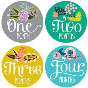 Lucy Darling Floral Milestone Stickers
